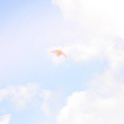 江湖缥缈梦手游